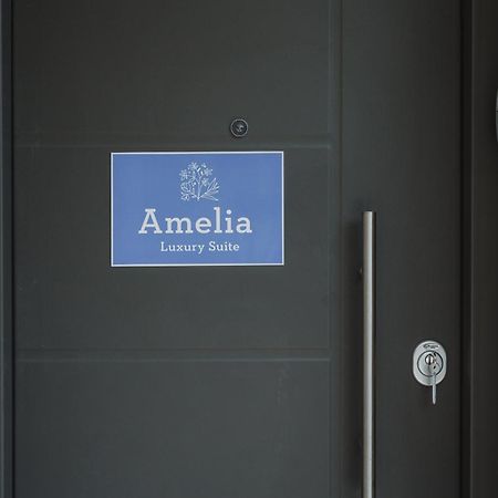 Amelia Luxury Suite นิเกียนา ภายนอก รูปภาพ