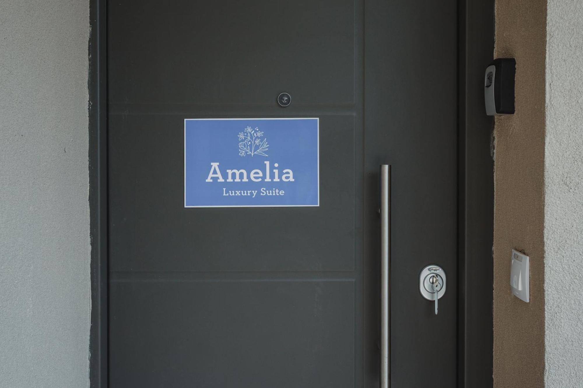 Amelia Luxury Suite นิเกียนา ภายนอก รูปภาพ